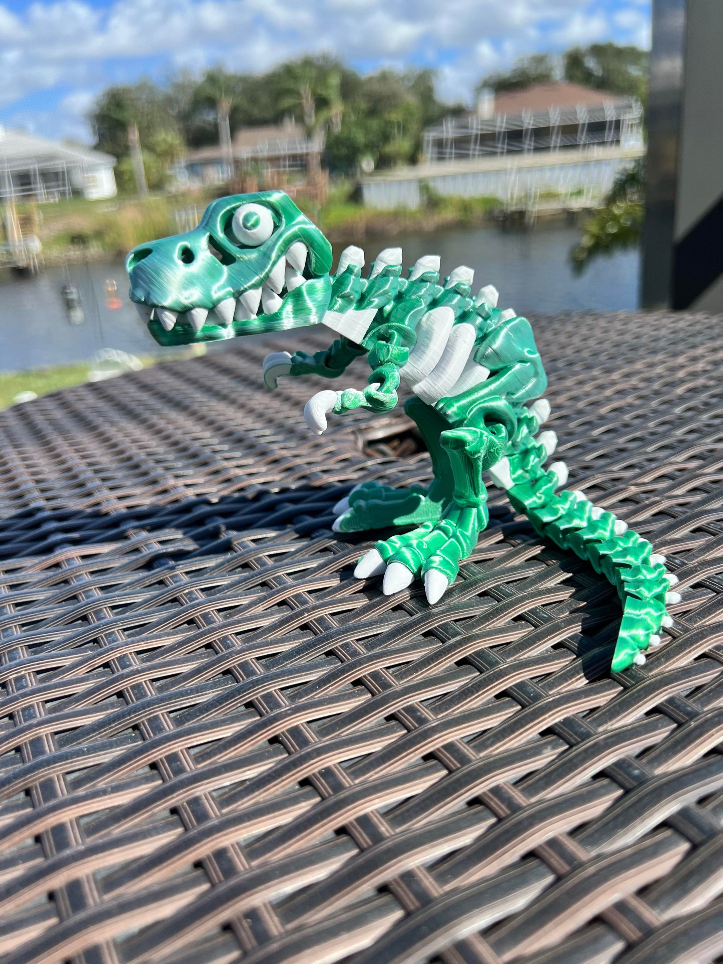 T-Rex Skeleton Dinosaur