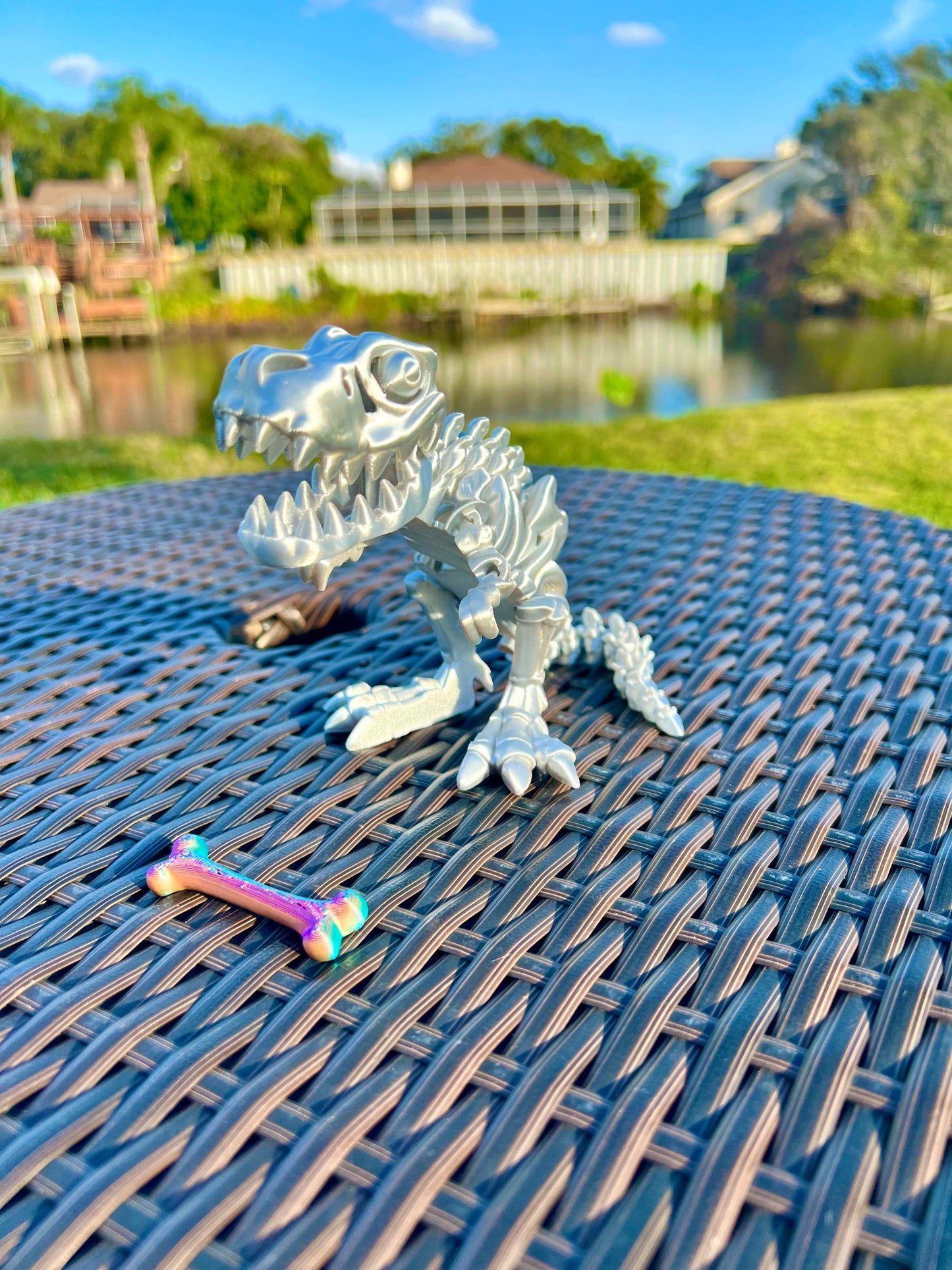 T-Rex Skeleton Dinosaur