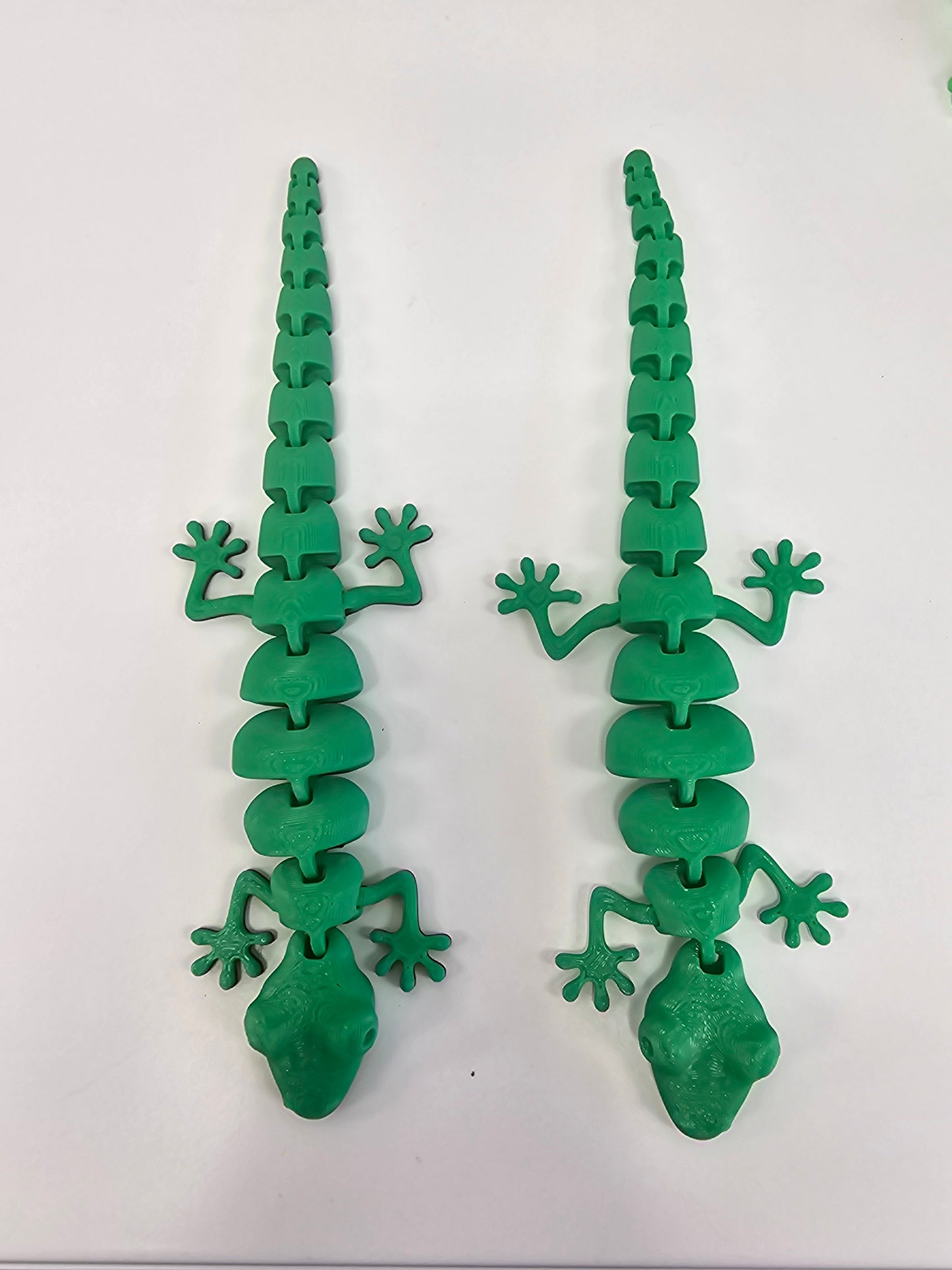 Lizard