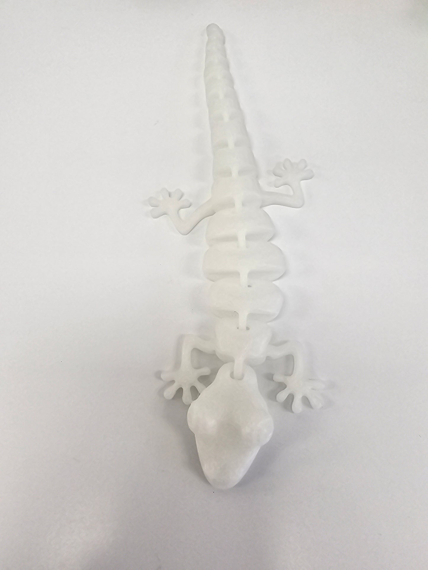 Lizard