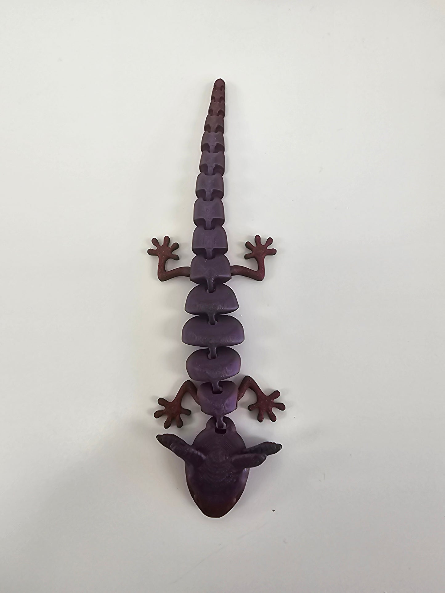 Axolotl