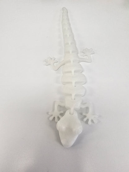 Lizard