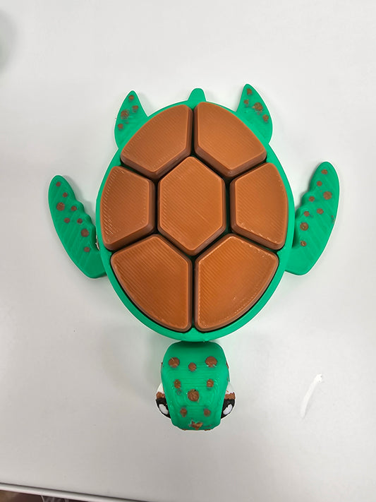 Turtle fidget